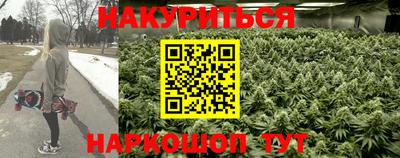 Альфа ПВП Кингисепп