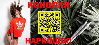 Альфа ПВП Кингисепп