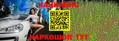 Альфа ПВП Кингисепп