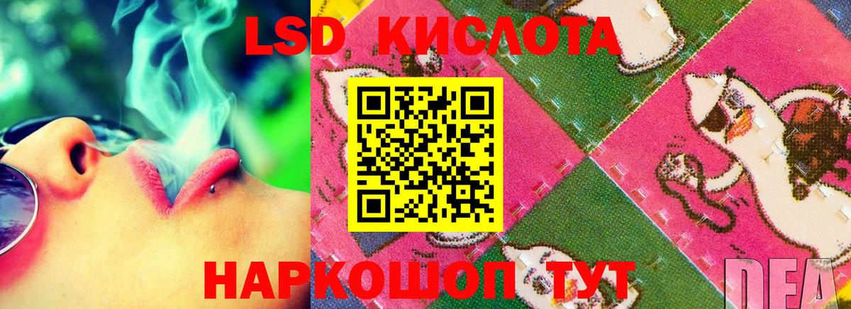 Новозыбков  LSD-25 экстази ecstasy  Лсд 25 экстази  Вход с VPN  ЛСД экстази кислота 