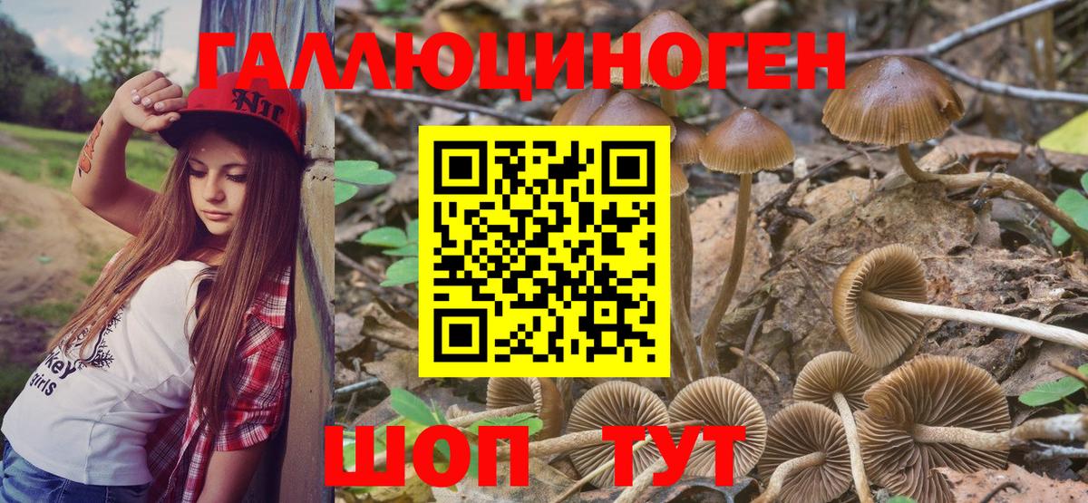 Галлюциногенные грибы Magic Shrooms  Вход с VPN  Новозыбков 