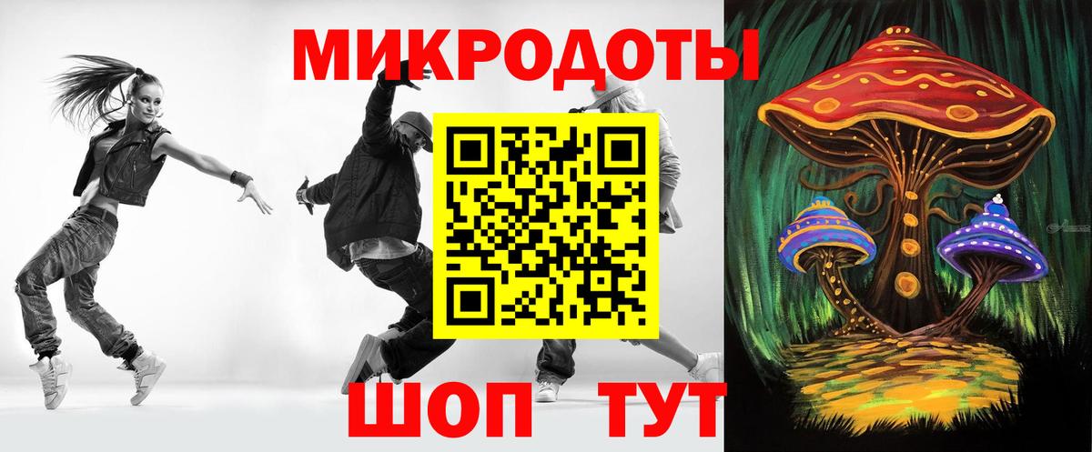 Галлюциногенные грибы Psilocybe Новозыбков
