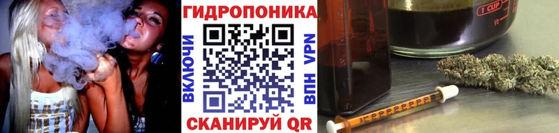 Марихуана сатива  Новозыбков 