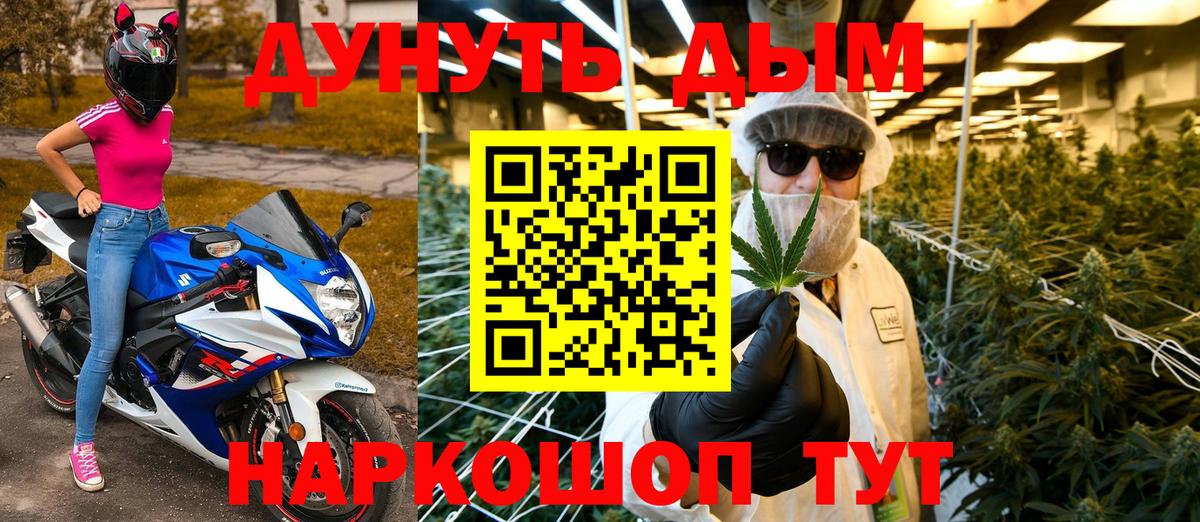 Марихуана SATIVA & INDICA  Конопля план  Новозыбков  Вход с VPN  Бошки марихуана планчик 
